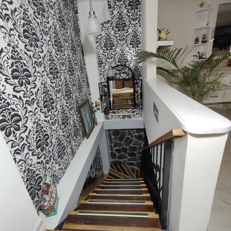 Los Andes Hostal Filandia Luaran gambar